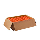 TRU 32 Indoor Pickleball Balls - Case