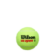 US Open XD Tennis 3-Ball 24 Can Case