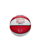 NBA Team Retro Mini Basketball Chicago Bulls