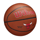 NBA Team Alliance Basketball Chicago Bulls