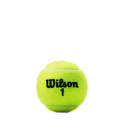 Championship Tennis 3-Ball 24 Can Case