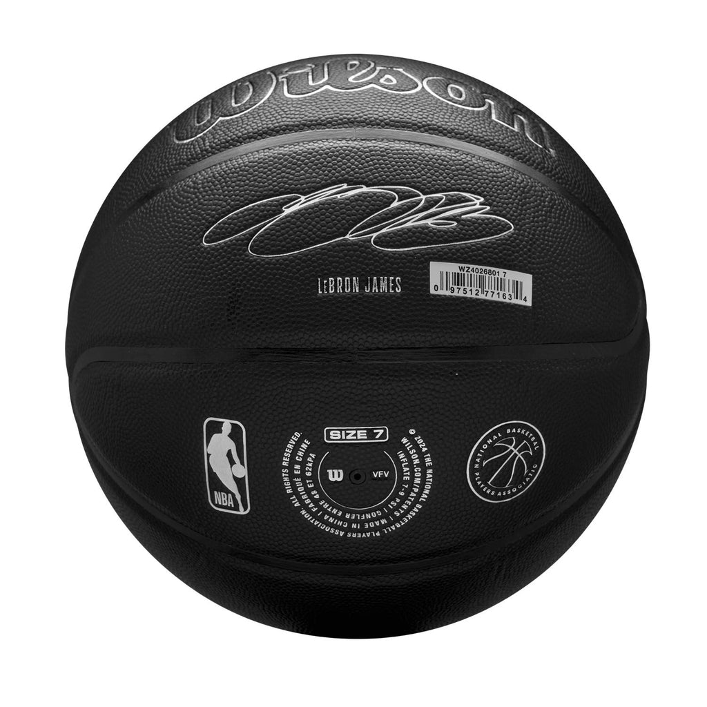 Buy NBA Evergreen Basketball Lebron James online - Wilson NZ