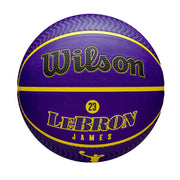 NBA Player Icon Outdoor Basketball - Lebron