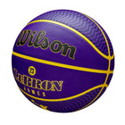 NBA Player Icon Outdoor Basketball - Lebron