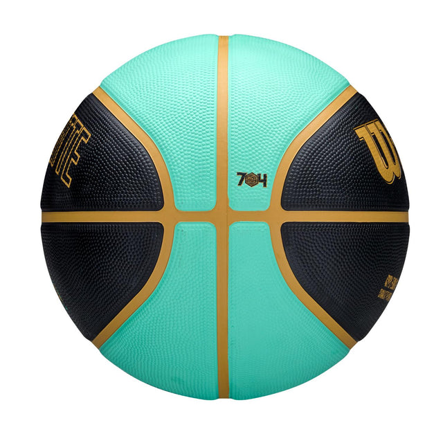 NBA Team City Edition Icon Basketball Charlotte Hornets