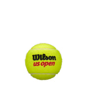 US Open XD Tennis 4-Ball 18 Can Case